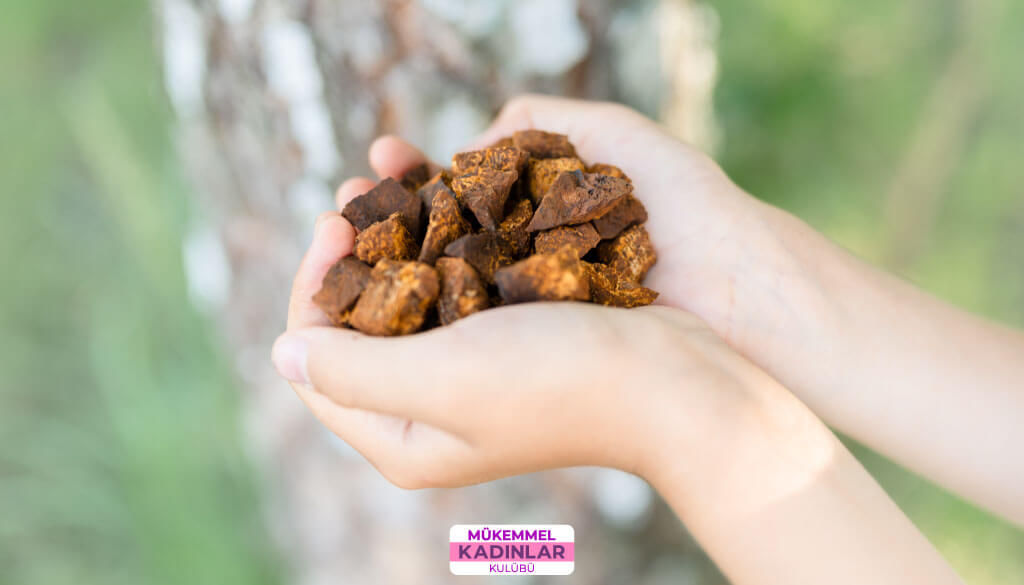 propolisin-bagisiklik-uzerine-etkisi Propolis Nedir? Propolis Faydaları Nelerdir?